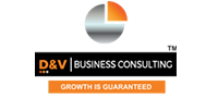 D&V Business Consulting Logo